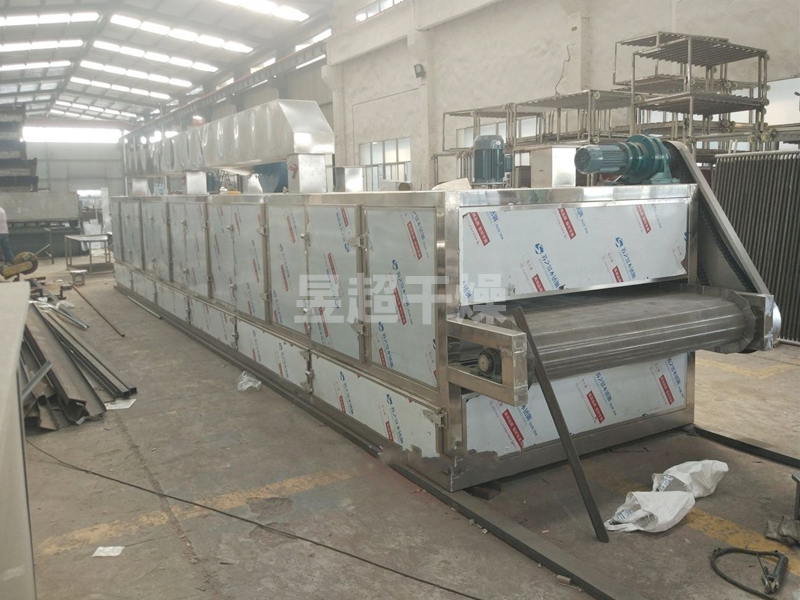 DWT脱水蔬菜带式干燥机(河南XX食品有限公司)